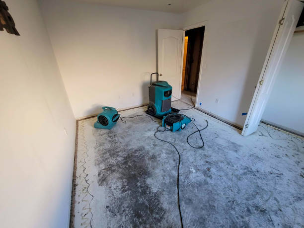 Best Commercial water damage restoration  in Newtown, OH