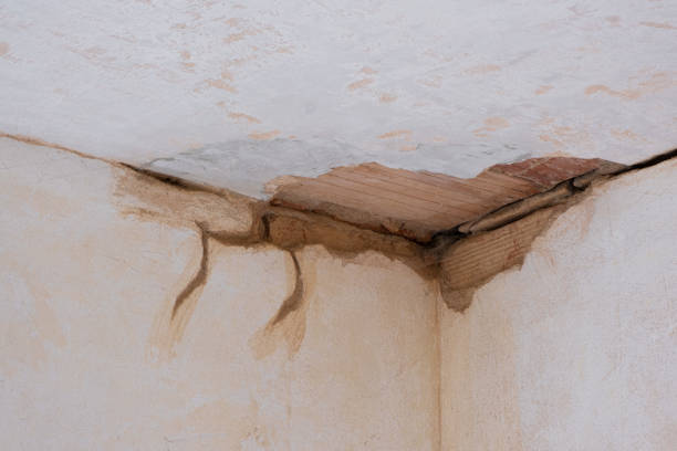 Best Water damage cleanup near me  in Newtown, OH