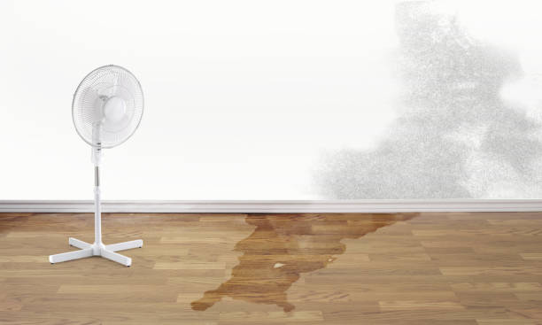 Best Water damage restoration process  in Newtown, OH