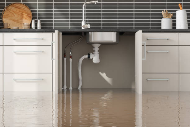 Best Basement water damage restoration  in Newtown, OH