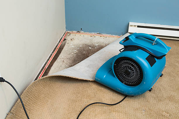 Best Water damage restoration experts  in Newtown, OH